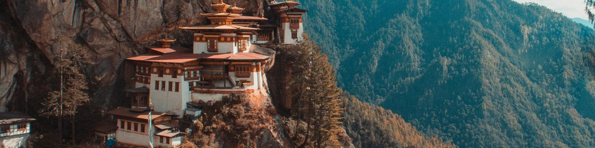 aaron-santelices-ZdwVvRdel8A-unsplash