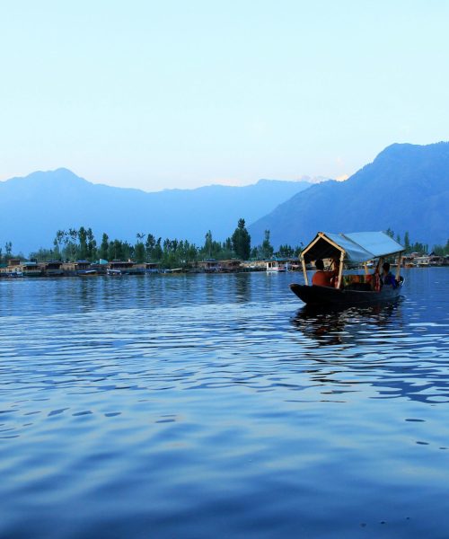 amit-jain-hcRK-x_H21g-unsplash